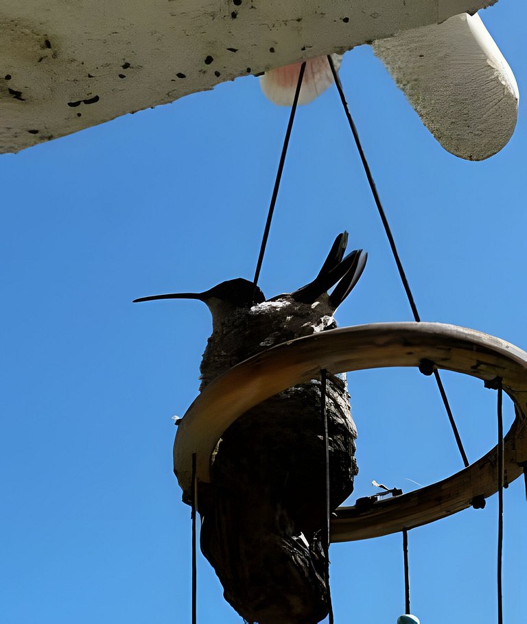 laguna playa coloso 104