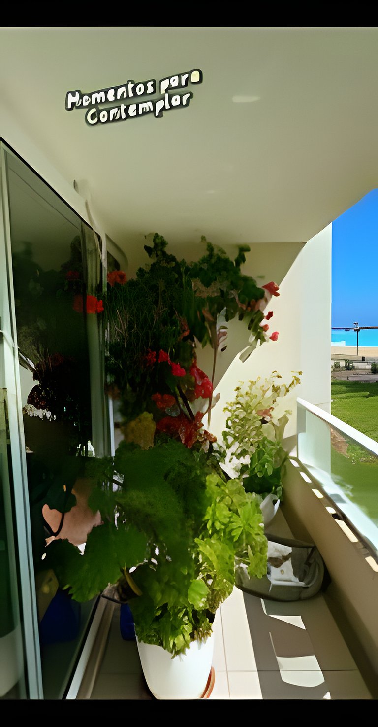 laguna playa coloso 104