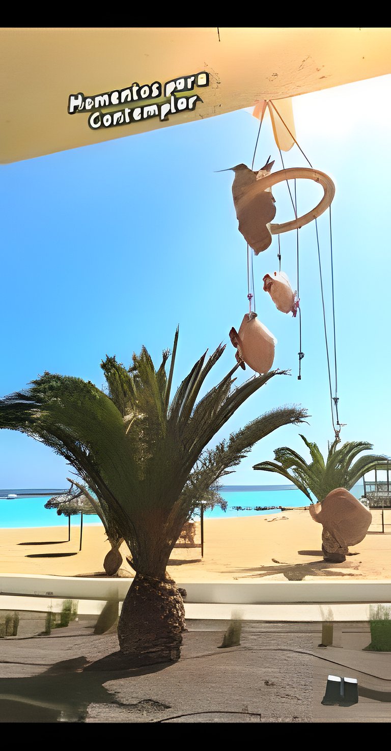 laguna playa coloso 104